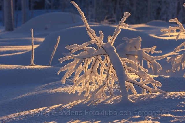 Januarisol i Svartbyn(640x427).jpg - Januarisol i Svartbyn